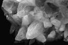Rose Quartz Black & White Print